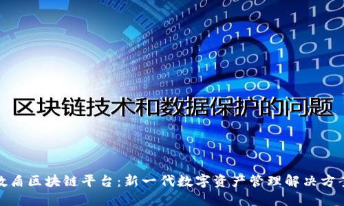 数盾区块链平台:新一代数字资产管理解决方案